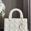 Lady Dior 913861