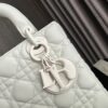 Lady Dior 913861